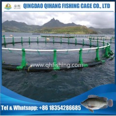 Snapper Farming Net Cage with HDPE Frame and PE Net图1