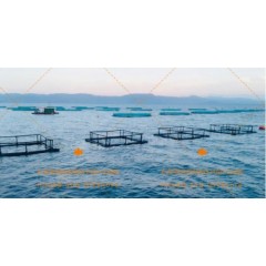 Square Fishing Farm Cage Floating Catfish Culture Commercial PE Net Cage in Group图1