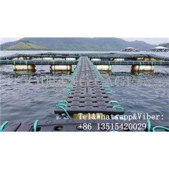 HDPE Aquaculture Equipment for Tilapia Fish Farming in Lake图1