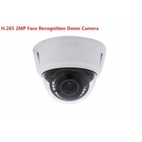 1080P Smart IR Infrared Face Recognition Access Control IP Detector Camera