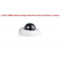 1080P IR Infrared HD Network Dome Camera with Human Detection