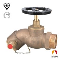 Fire Landing Valve Bib-Nosed Type with Bsi Kitemark Lpcb Approved