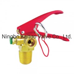 CO2 Fire Extinguisher Valve 2005图1