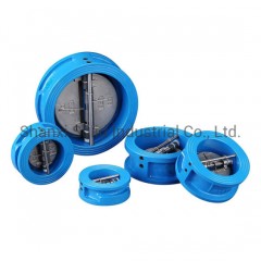 Cast Iron Body Ductile Iron Plates Wafer Dual Plate Check Valve Pn16图1