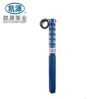 Electric Motor Vertical Deep Well Submersible Borehole Pump