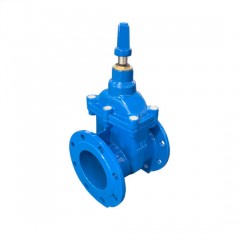 DIN3352-F4/F5/BS5163 Resilient Seated/Soft Seated Gate Valve/Sluice Valve图1