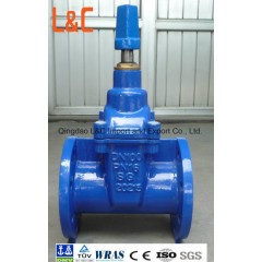 Resilient Seated Gate Valve Nrs Flanged End BS5163 DIN F4/F5图1