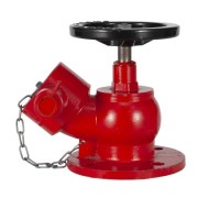 Fire Hose Landing Valve Oblique Type with Bsi Kitemark Lpcb Certificate/Fire Hydrant Valve Copper Al