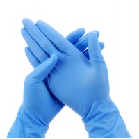 Manufacturer Directly Supply Powder Free Nitrile Examination Gloves En455 En ISO21420