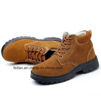 Good Quality New Design Safetoe Industrial Work Shoes/Safety Shoes