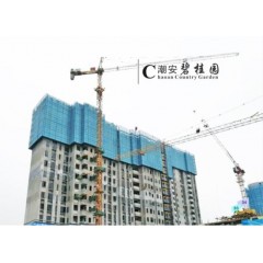 Self-Climbing Steel Assembled Shuttering Protection Platform System图1