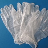 Disposable Clear Colour Powder Free and Powdered Vinyl Gloves