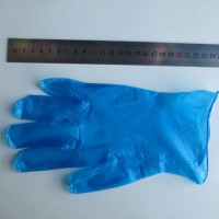 Disposable Powder Free Clear Vinyl Gloves for Food Service