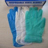 Disposable Powder Free Blue Color Vinyl Gloves for Food Service