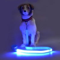 Night Safety Light up Flashing LED Pet Dog Leash