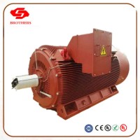 H Class IP55 Y2160m-4 15kw Elerctic Motor