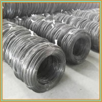 Hot Selling Low Carbon Steel Wire for Nail Making/Wires