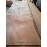 A Grade Sliced Face Pine Veneer  Wood Veneer  Veneer  Face Veneer  Okoume Veneer  Bintangor Veneer