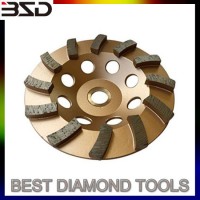 4_M8 Diamond Grinding Plate