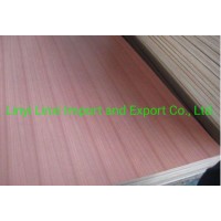 EV/Natural Sapele Plywood for Furniture/Construction/Building