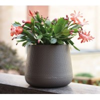 Self-Storage Plastic Flower Pot (KD2211-KD2214)