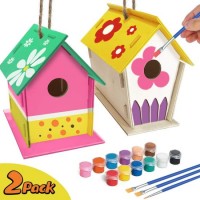 Crafts for Kids Ages 4-8 - 2pack DIY Bird House Kit - Build and Paint Birdhouse (Includes Paints & B