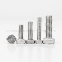 DIN933 External Hexagonal Bolts Stainless Steel Bolt for Glass Curtain Wall Project/ Environmental /