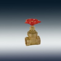 F-0008-1100 Brass Gate Valve F/F 2"