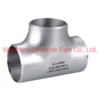 Stainless Steel Seamless Pipe Fitting/Equal/Reducing/Mechanical/Female/Threaded Mechanical/Straight
