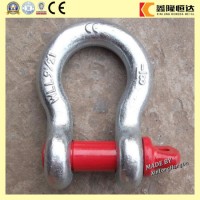 Carbon Steel D Shaped Shackle with ISO9001