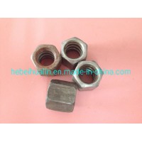 Nuts  Bolt and Nut  Hexagon Nut  Fasteners  Rivet Nut