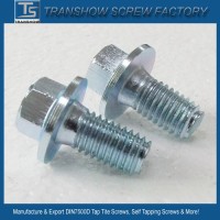 DIN7500d/E Thread Rolling Triangle Thread Tapping Screw