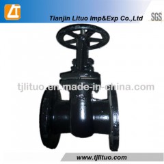 GOST 6 Inch Cast Iron Water Gate Valve 30CH6br图1