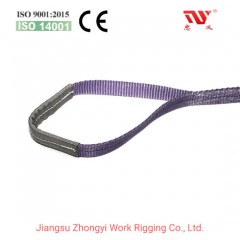 Polyester Flat Double Eye-Eye Webbing Sling for Lifting图1