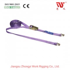 100% Polyester Webbing Tie Down Ratchet Straps with Double J Hook图1