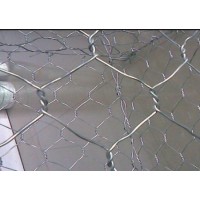 Hexagonal Wire Mesh Netting /3/8 '' Galvanized Hexagonal Wire Mesh Fence Netting