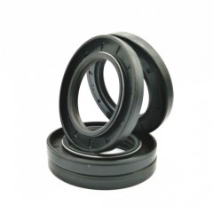 China Supplier Tc Oil Seal Cross Reference Framework Hydraulic Seals图1