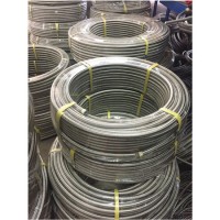DN10 PTFE Hose with Stainless Steel Braided