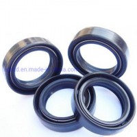 EPDM/NBR/FKM/Silicone Rubber Seals