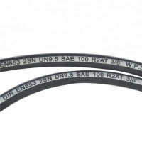 SAE 100r2 at/DIN En853 2sn Hydraulic Hose