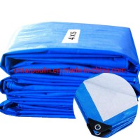 PE Tarpaulin/Tent Material/Waterproof Outdoor Plastic Cover/Blue Poly Tarp /HDPE Fabric