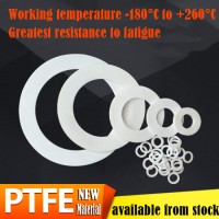 DN125 Customized Processing PTFE Flange Gasket