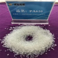 Strength and Low Water Absorption PA610