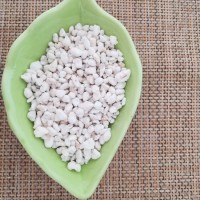 Perlite Expanded Horticulture Perlite 2-3mm  1-2mm  4-6mm