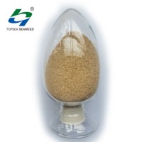 High Viscosity 100% Pure Textile Grade Sodium Alginate for Reactive Textile Cloth Printing