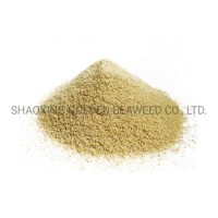 Low Price Textile Grade Sodium Alginate for Reactive Printing Dye