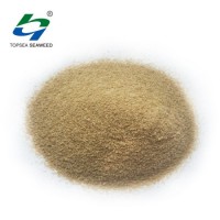 Sodium Alginate for Blue Dye Supplier