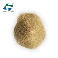 High Viscosity Sodium Alginate for Textile  Industry Thickener  as Stabilizer