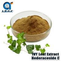 Cosmetics Use and Medicine Use IVY Leaf Extract Powder/ Hedera Helix Extract Hederacoside C