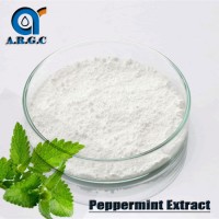 Mint Flavor Powder Peppermint Extract Powder